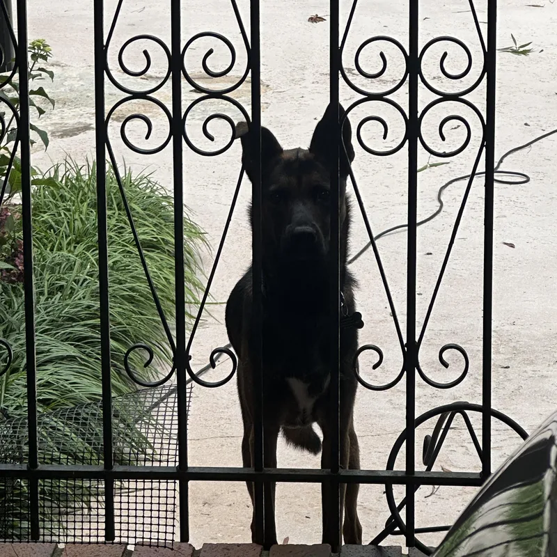 Zeus