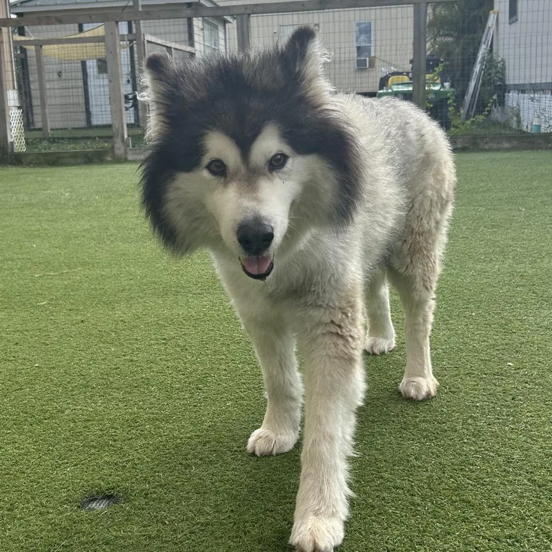 Skittles thumbnail 2