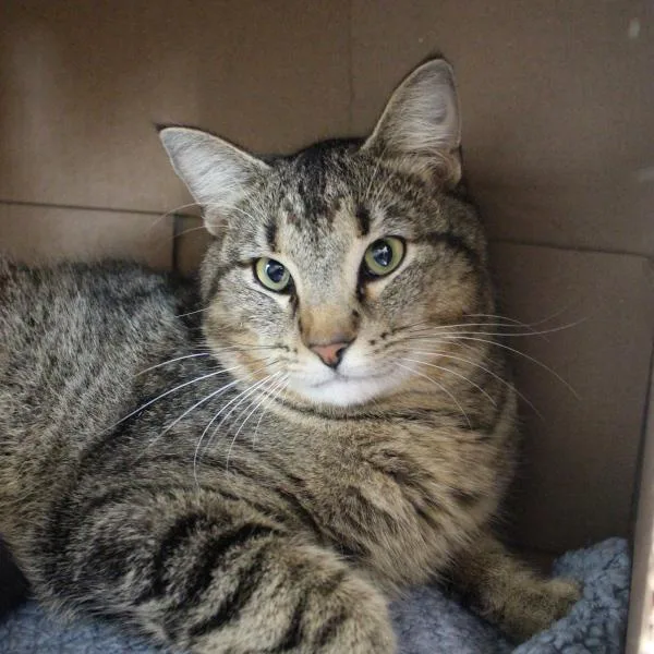 Charming thumbnail 2