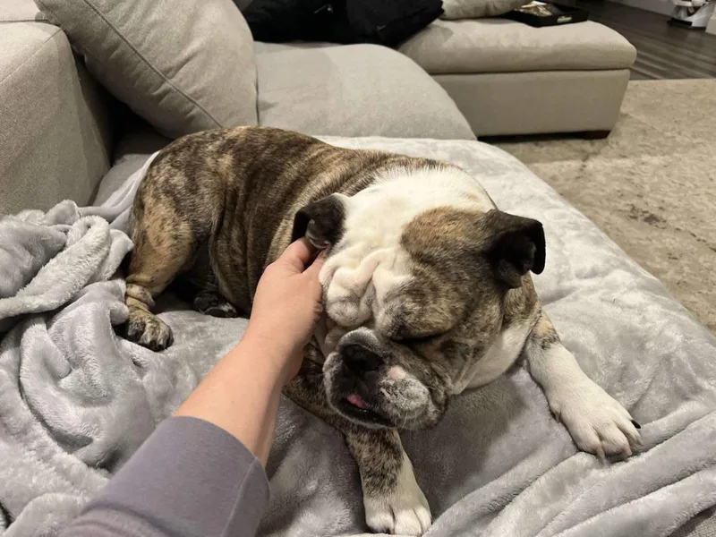 Chloe thumbnail 2