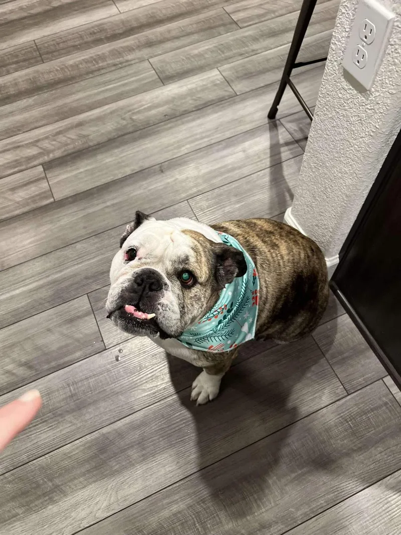 Chloe thumbnail 5