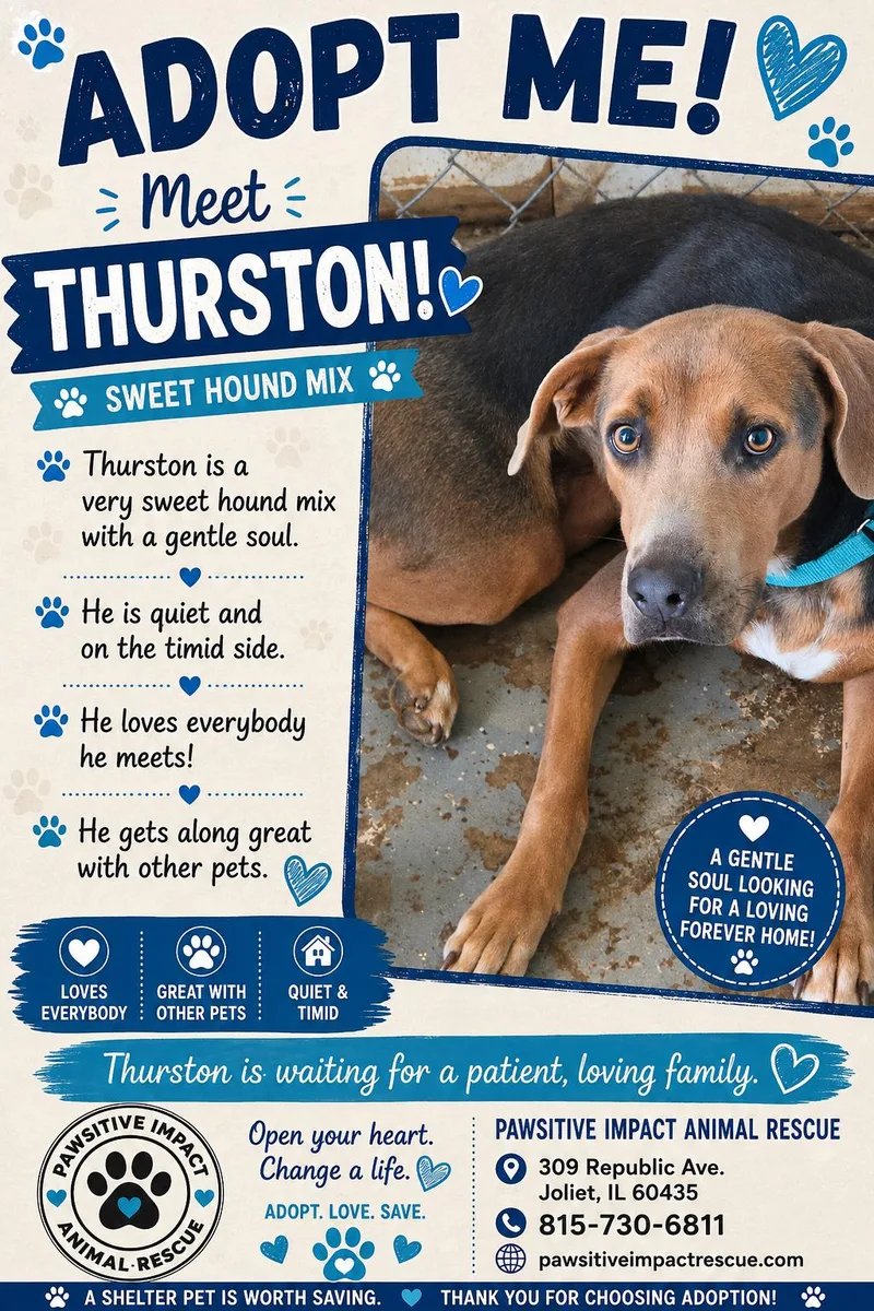 Thurston thumbnail 2