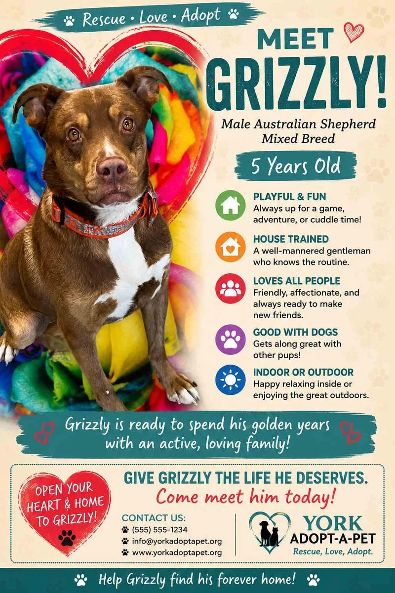 Grizzly