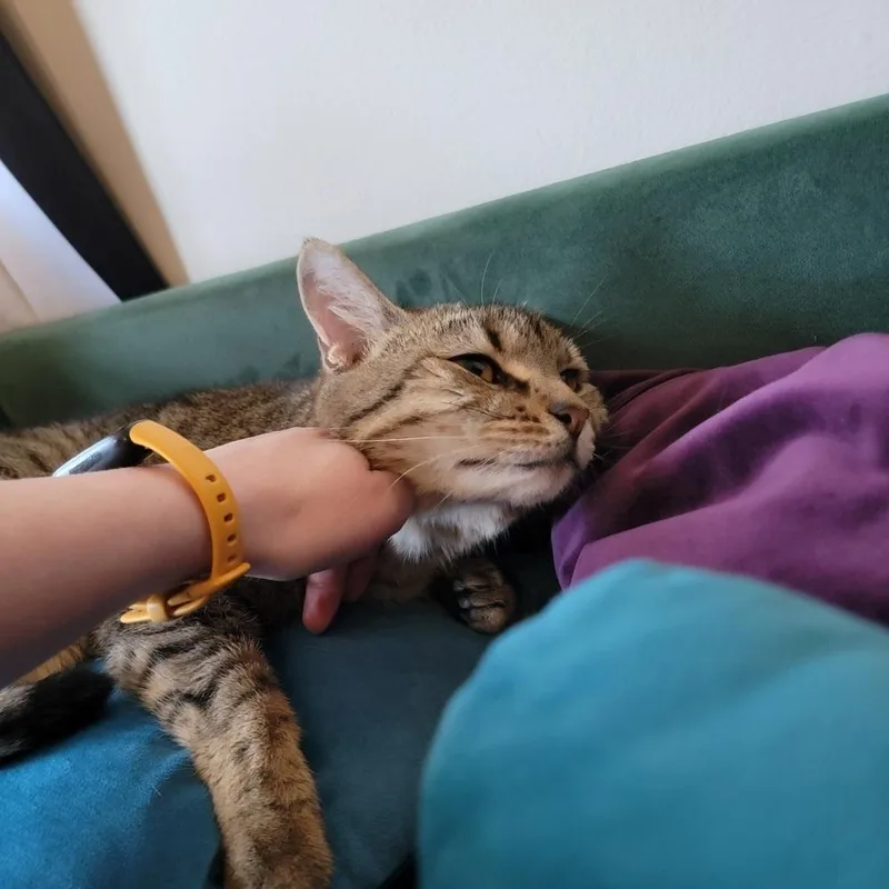 Mrs. Brady thumbnail 5