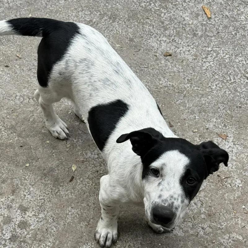 Kathrine Hepburn thumbnail 2