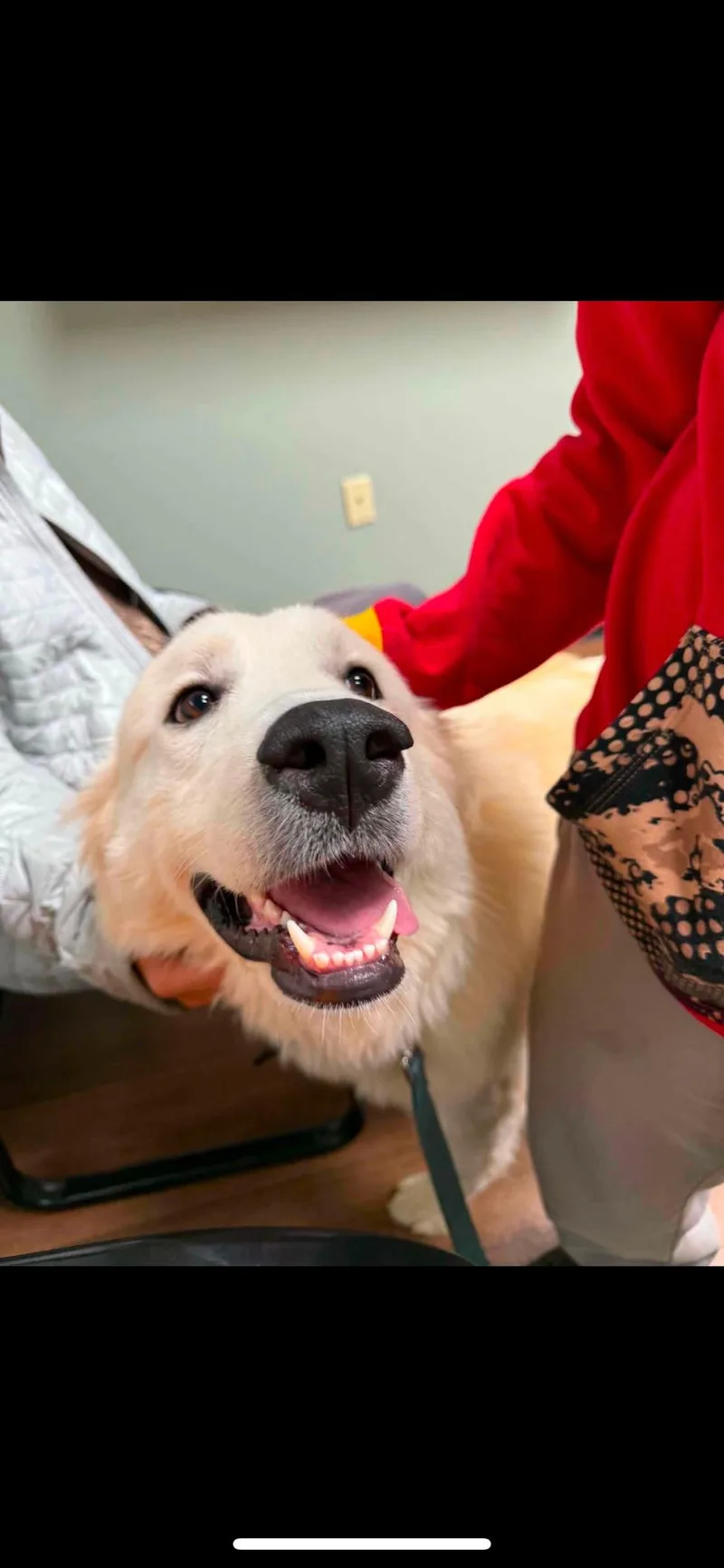 Frankie thumbnail 3