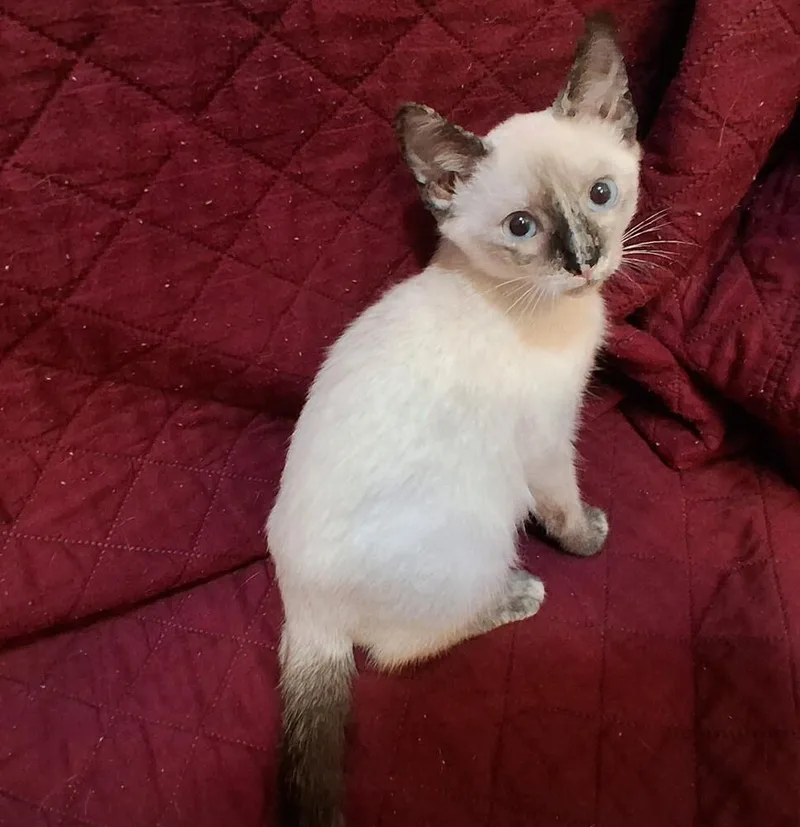 Elinor