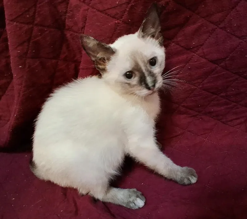 Elinor thumbnail 2