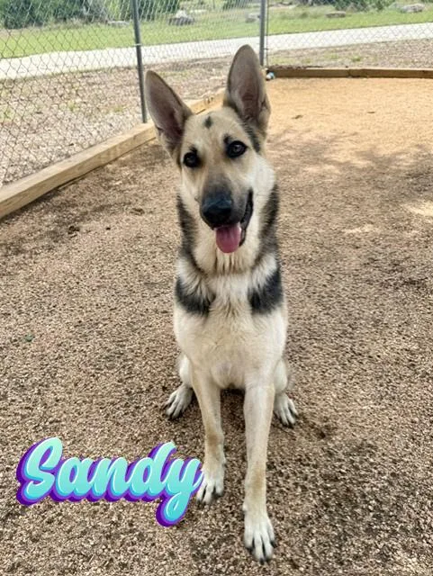 Sandy