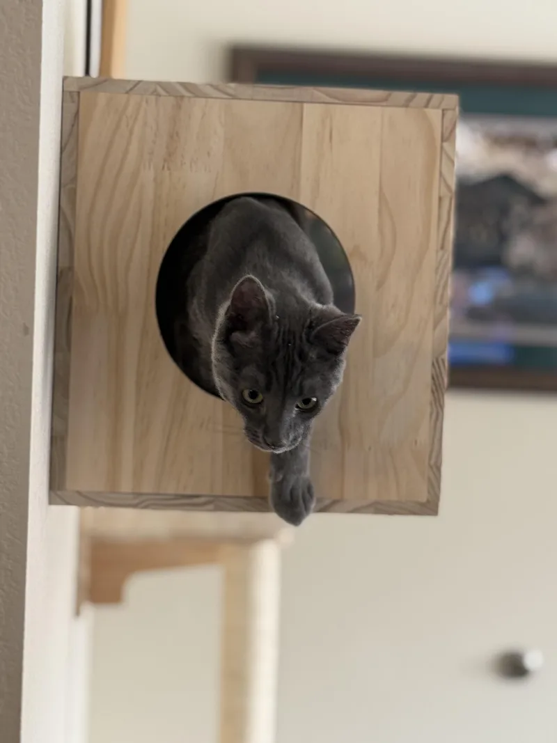 Jasper Haze thumbnail 3