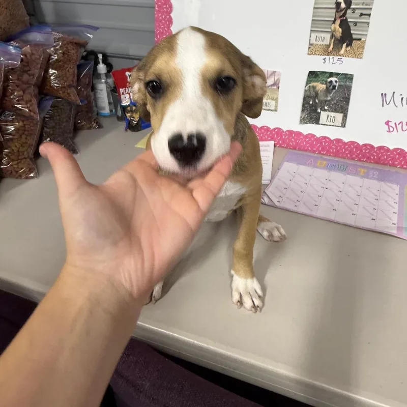 Lulu thumbnail 2