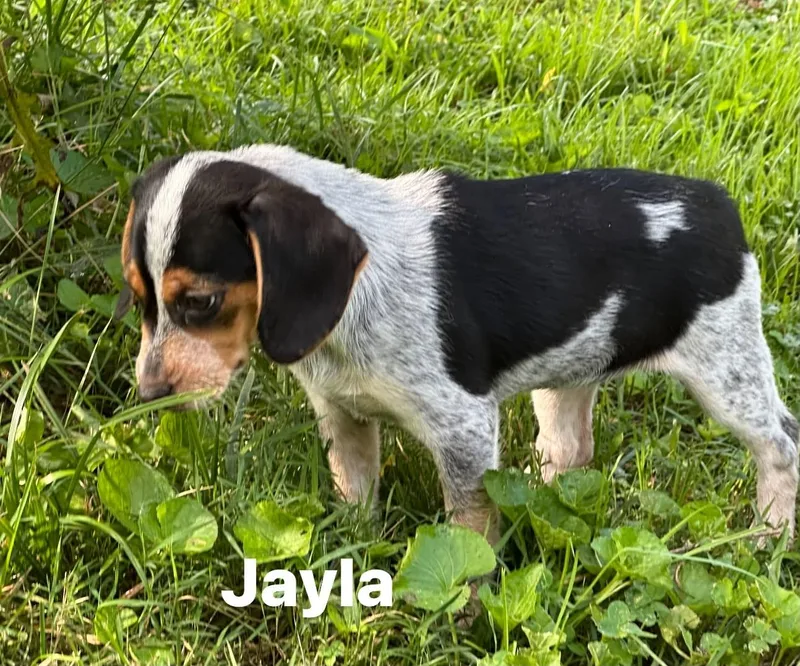 Jayla thumbnail 2