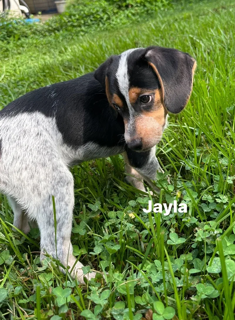 Jayla thumbnail 3