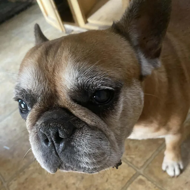 Marcellus Bw thumbnail 5