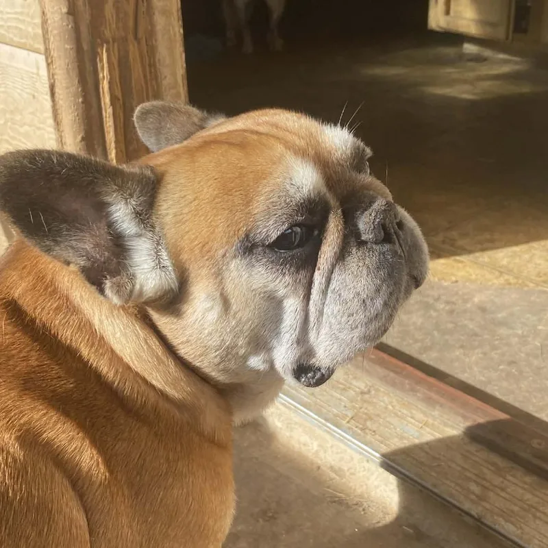 Marcellus Bw thumbnail 6