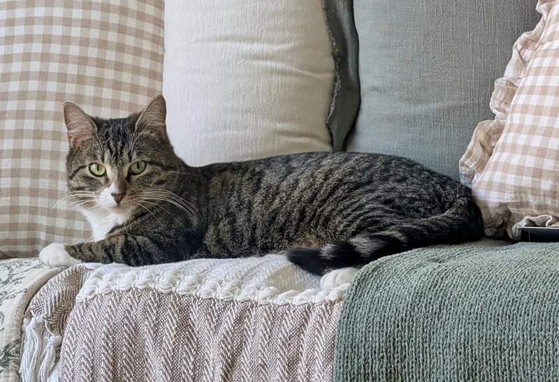 Sabrina  Sweet And thumbnail 2