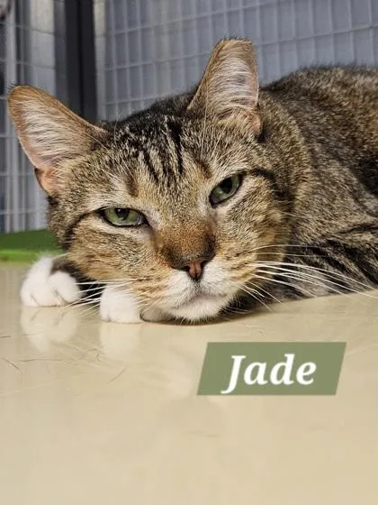Jade