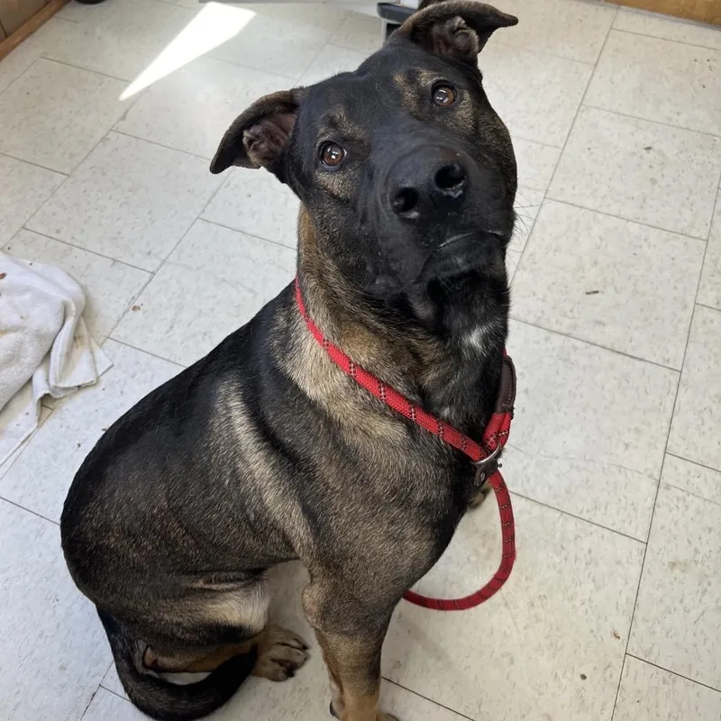 Superman thumbnail 2