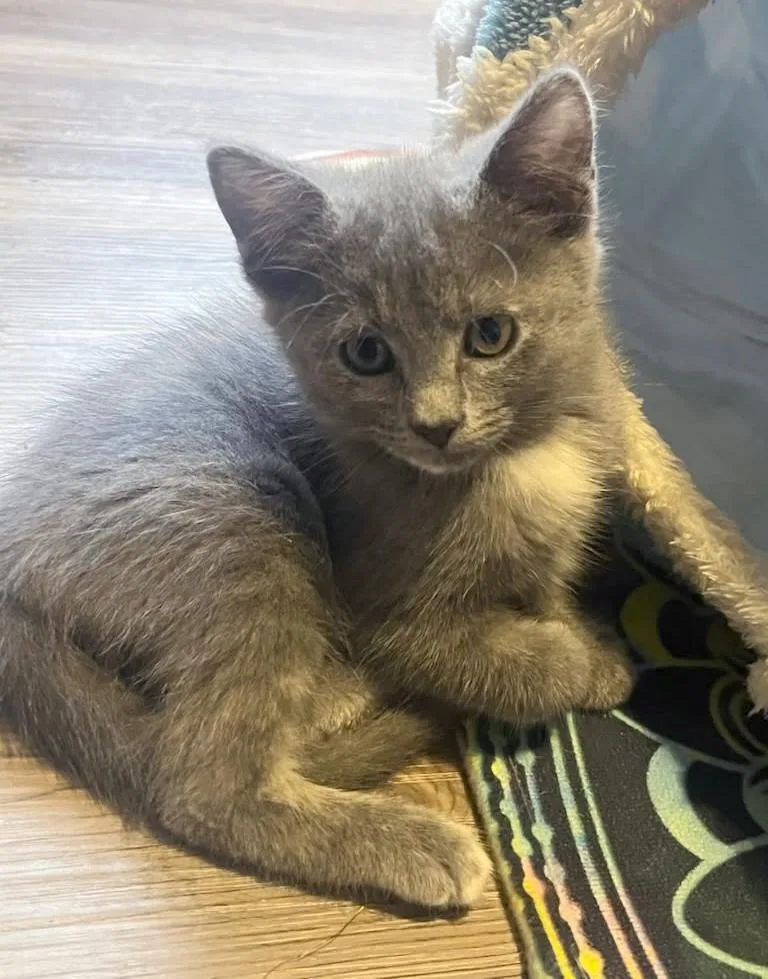 Betty Jo & Billie thumbnail 2