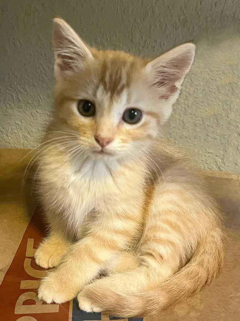 Betty Jo & Billie thumbnail 3