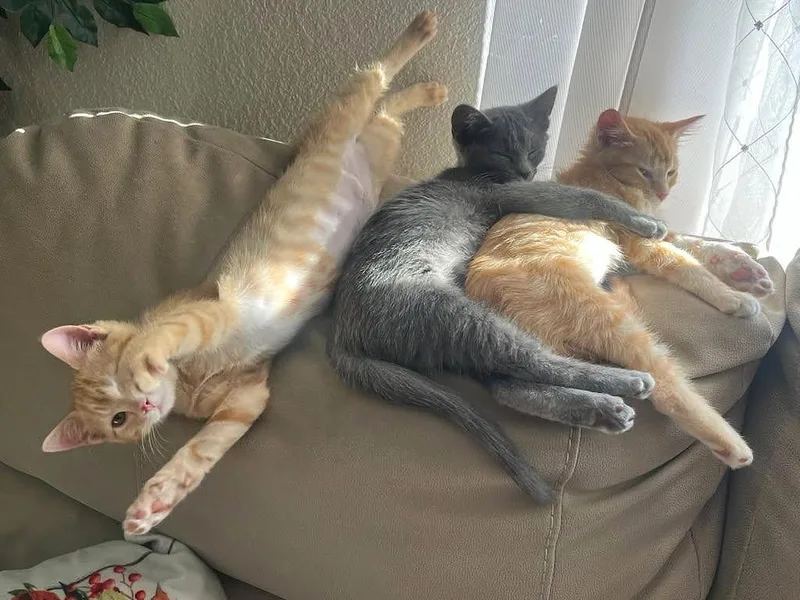 Betty Jo & Billie thumbnail 4