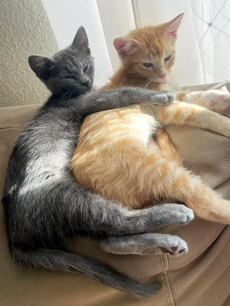 Betty Jo & Billie thumbnail 5