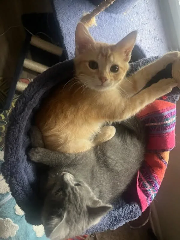 Betty Jo & Billie thumbnail 6