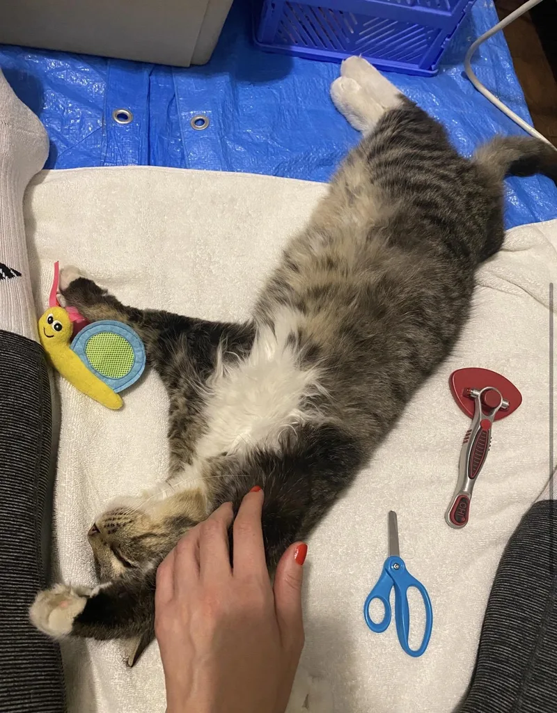 Frank