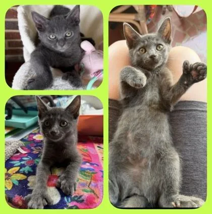 Winnie