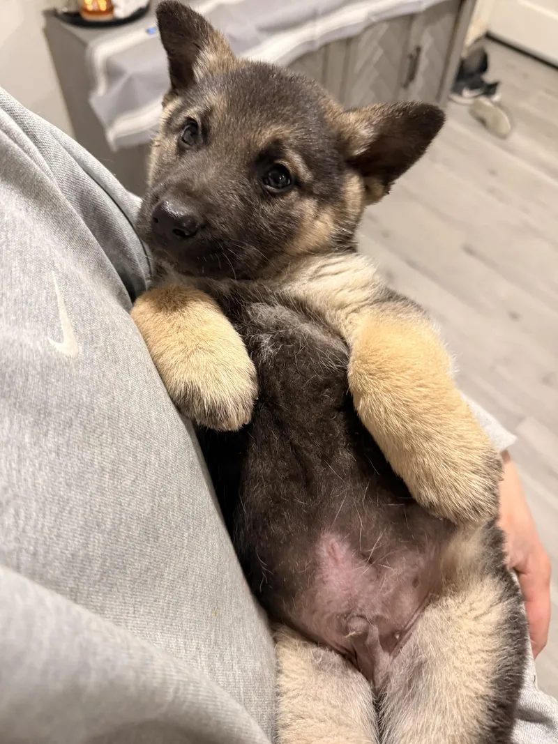 Champagne thumbnail 2