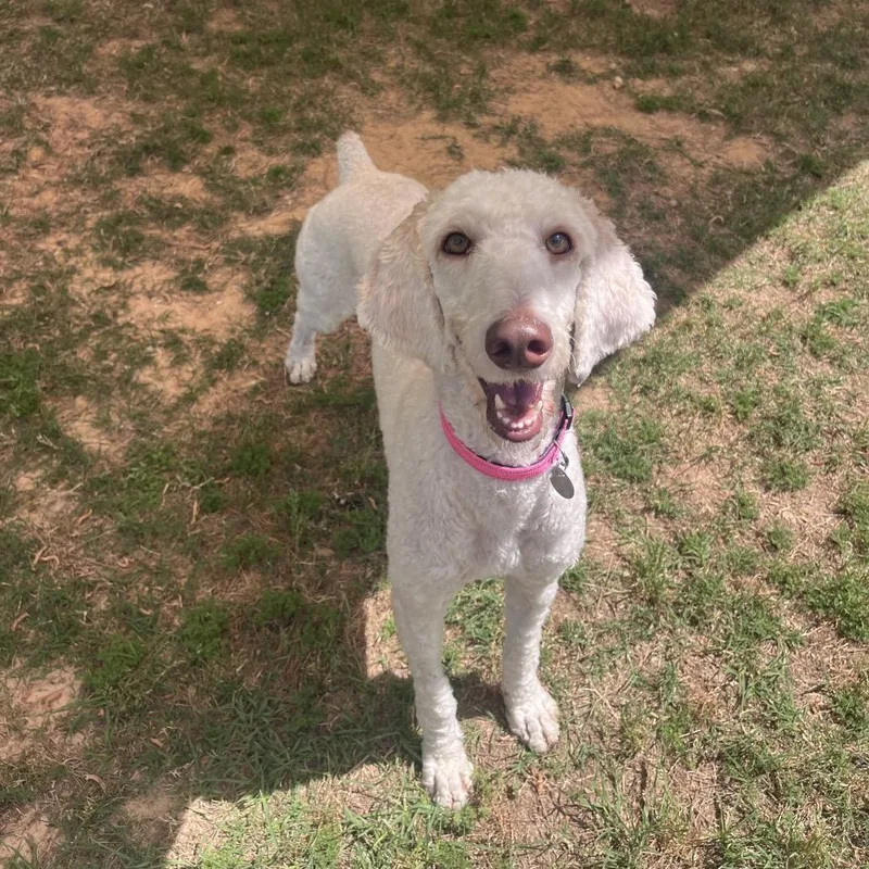 Margaret May thumbnail 2