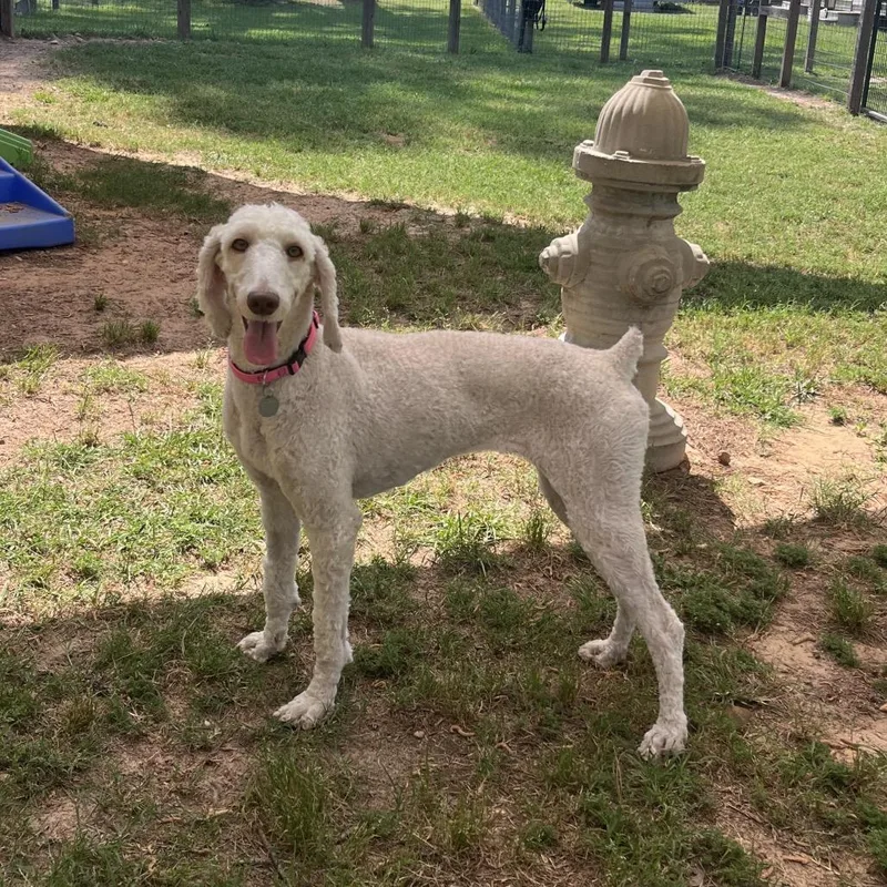 Margaret May thumbnail 3