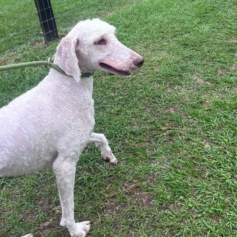 Margaret May thumbnail 4