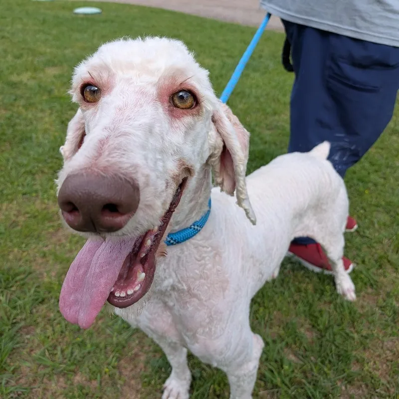 Margaret May thumbnail 5