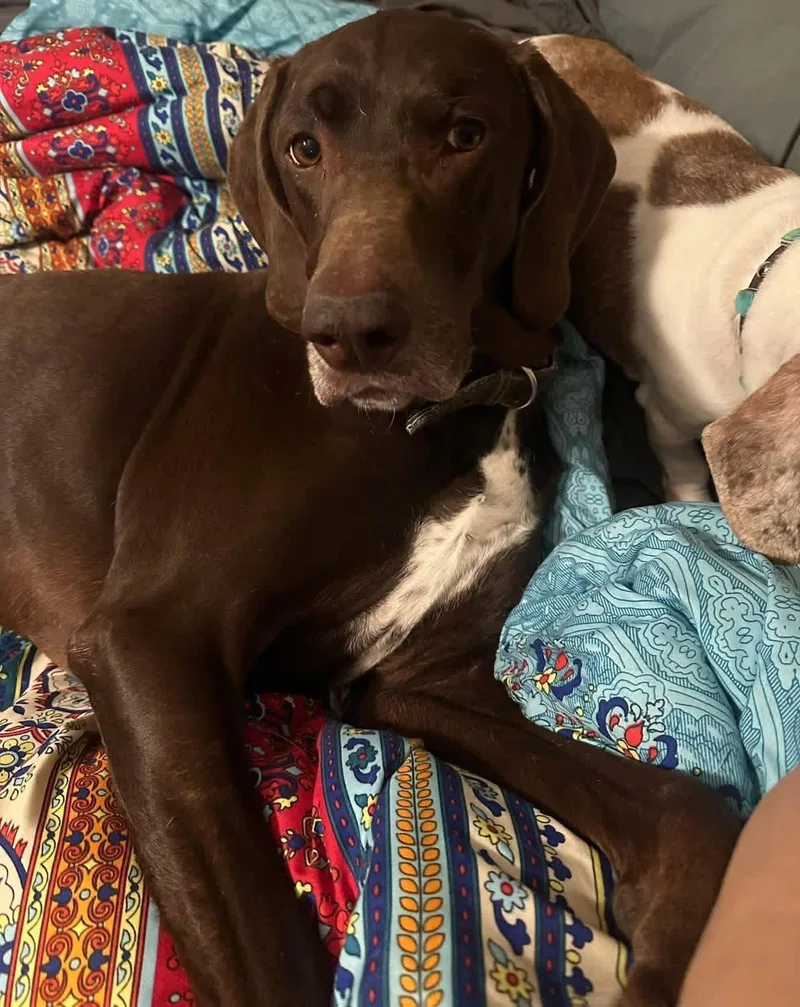 Charliecompletely Charming thumbnail 2