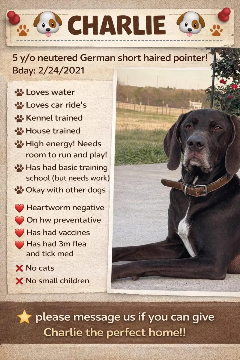 Charliecompletely Charming thumbnail 3