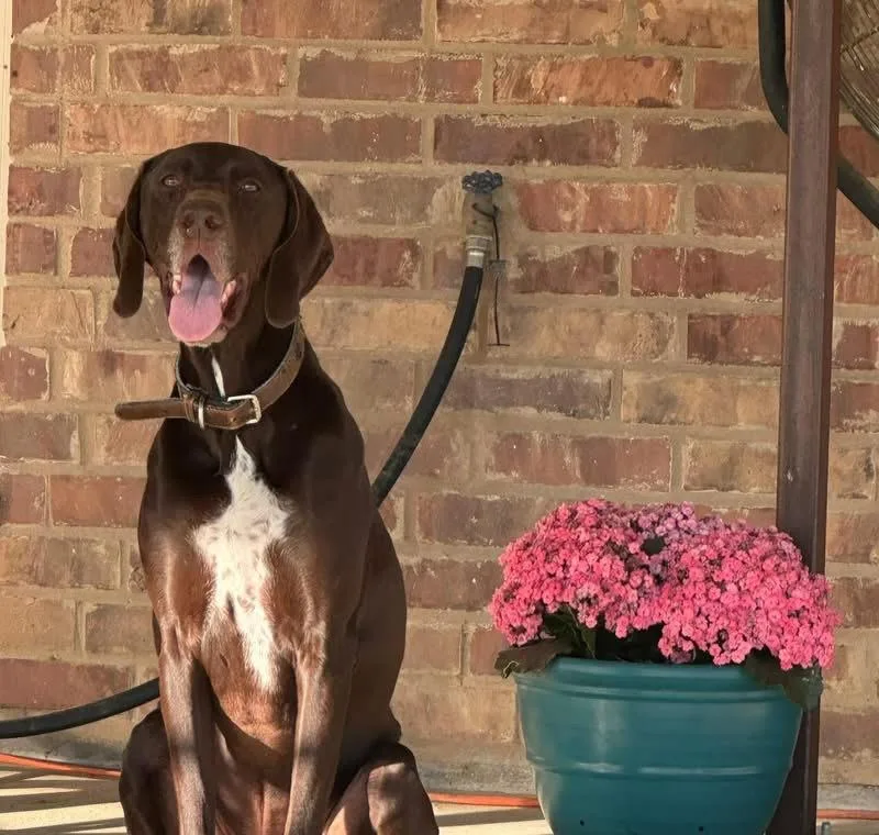 Charliecompletely Charming thumbnail 4