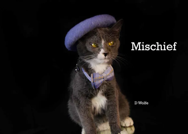 Mischief thumbnail 3