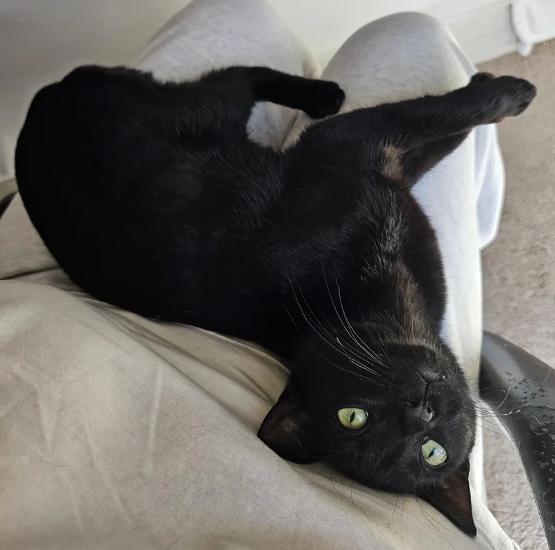 Peppermint thumbnail 2