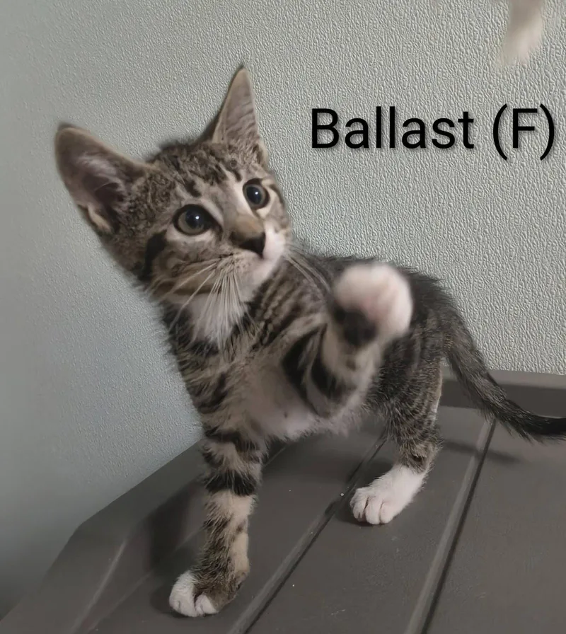 Ballast thumbnail 2