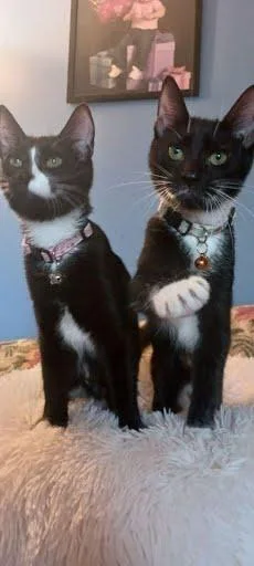 Spice [and Saige] thumbnail 2