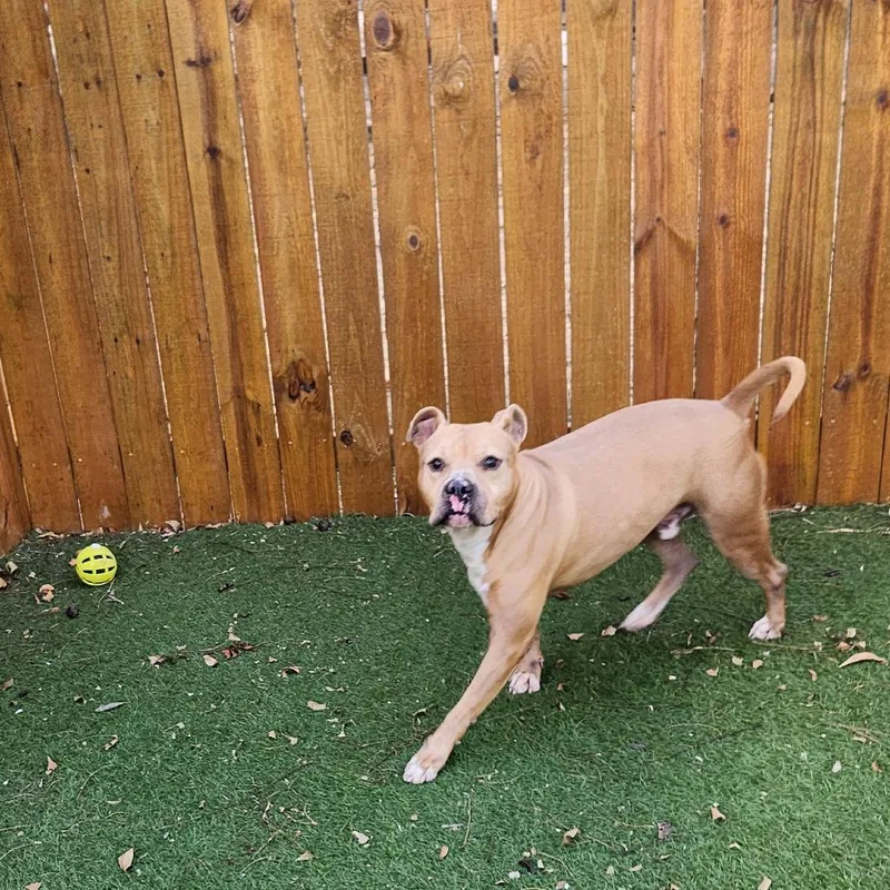 Mason Jum thumbnail 2