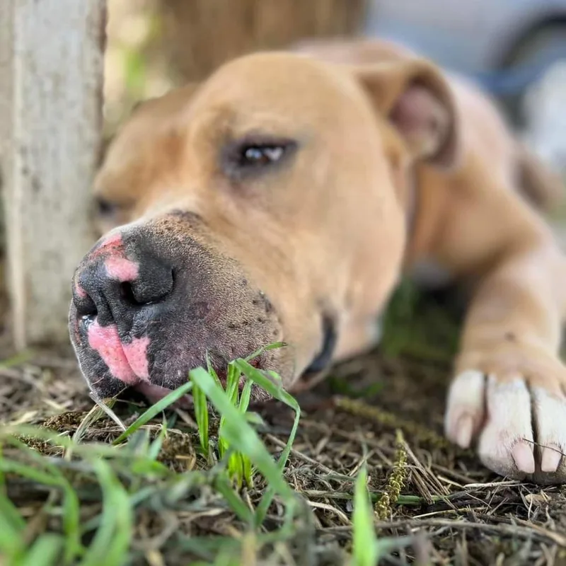 Mason Jum thumbnail 3