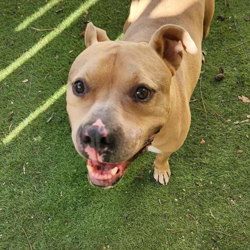 Mason Jum thumbnail 4