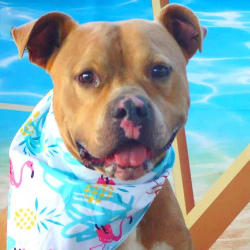 Mason Jum thumbnail 5