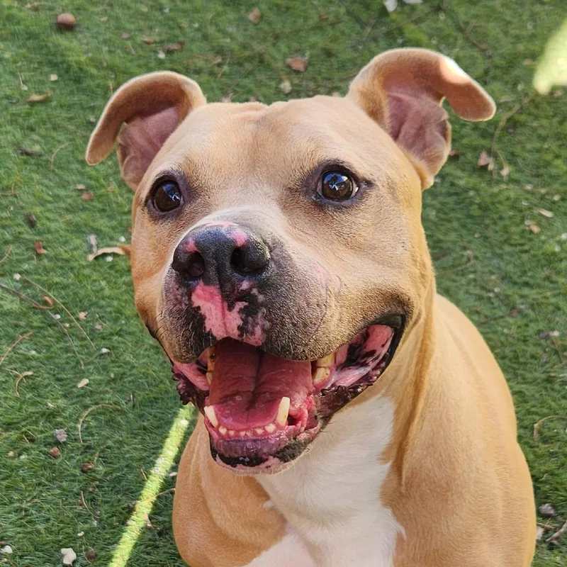 Mason Jum thumbnail 6