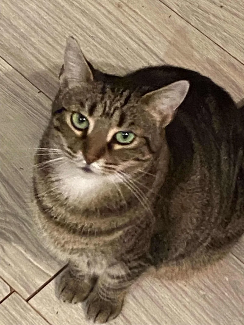 Starlight thumbnail 2