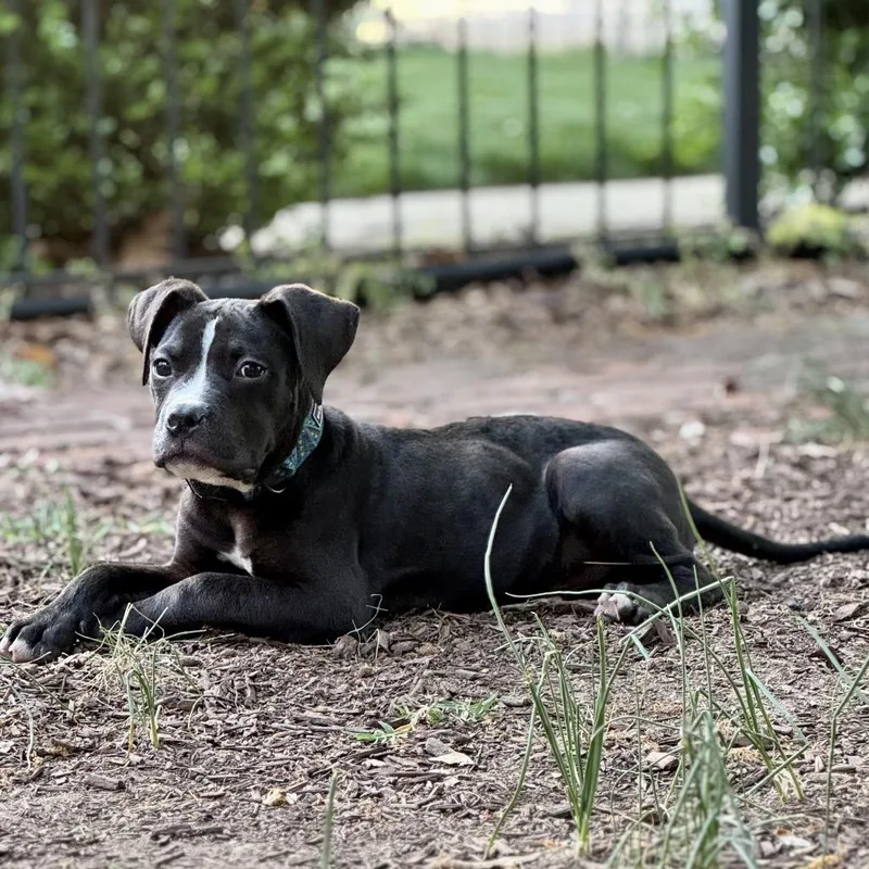 Hemingway thumbnail 5