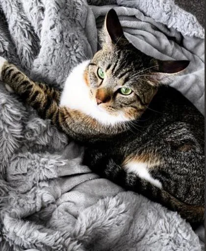 Mimi