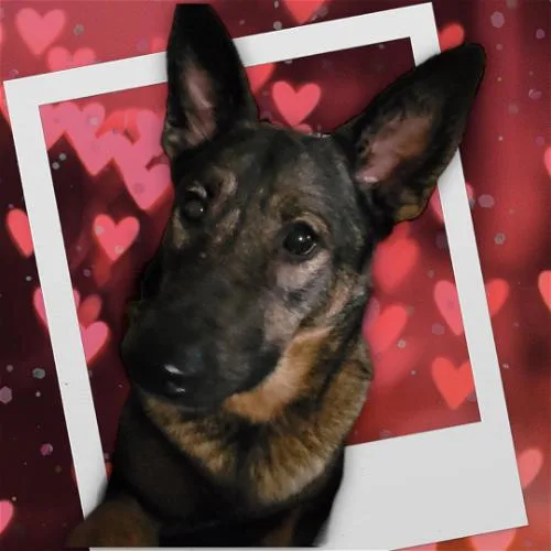 Katie thumbnail 3